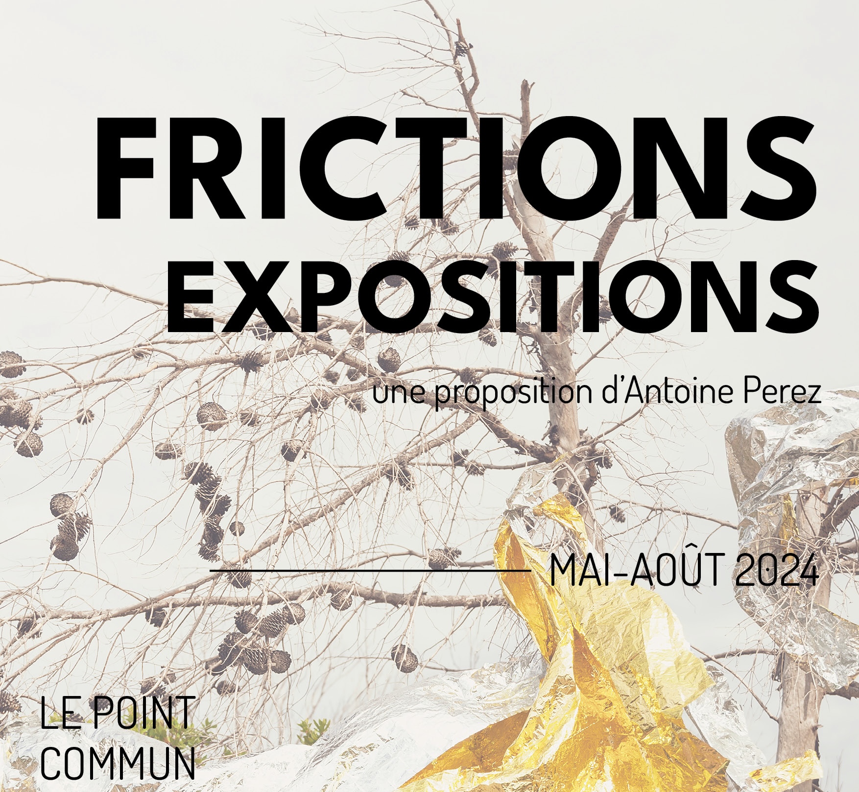Frictions affiche