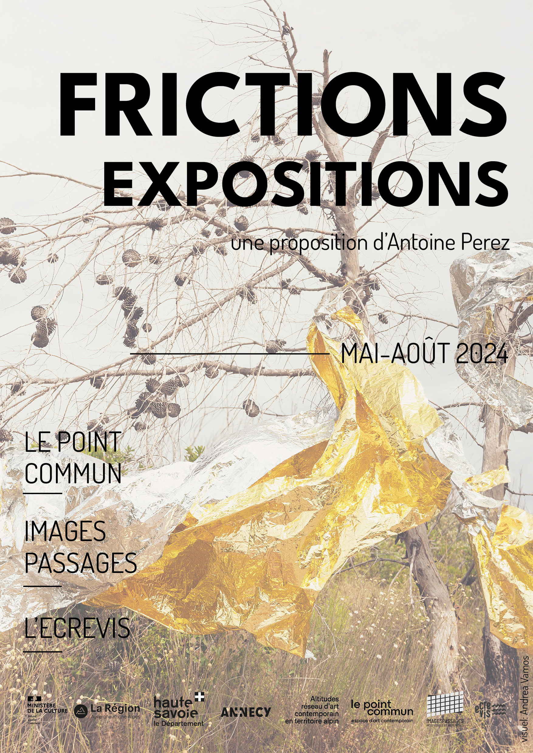 Frictions affiche commune