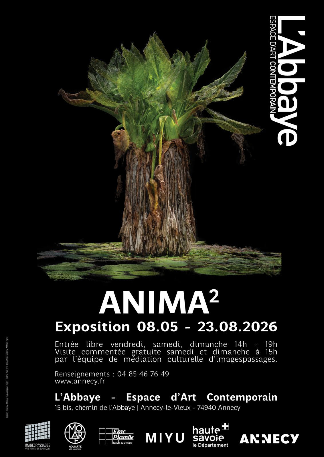 Anima2