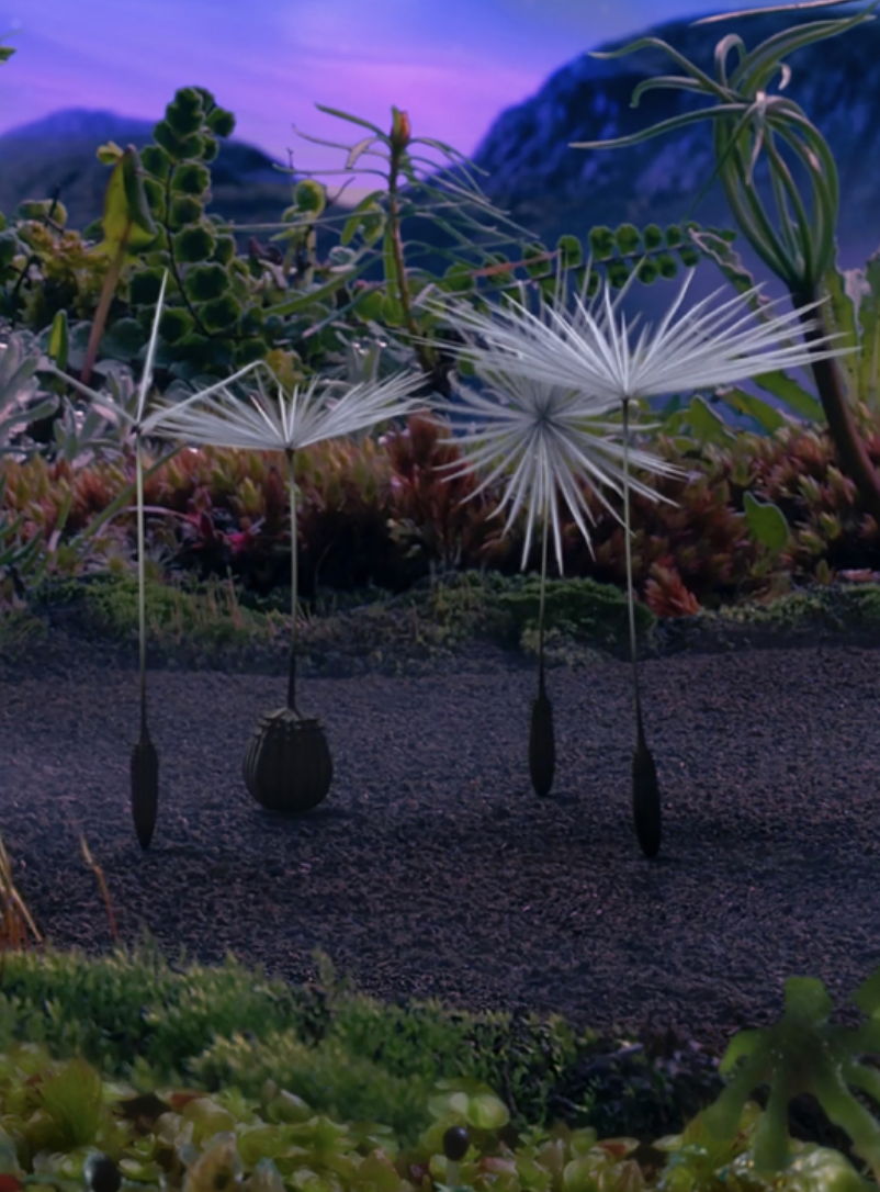 Momoko Seto Miyuproductions